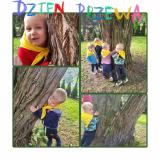 Zdjęcie 6