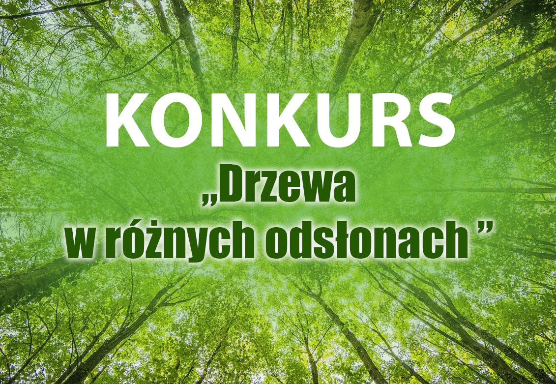 Konkurs “Drzewa w różnych odsłonach”