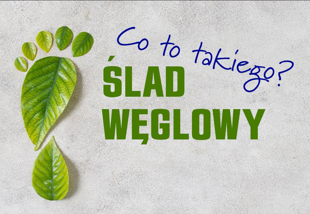 Grafika ze śladem stopy z liści i napisem "ślad węglowy"