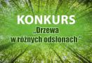Konkurs “Drzewa w różnych odsłonach”